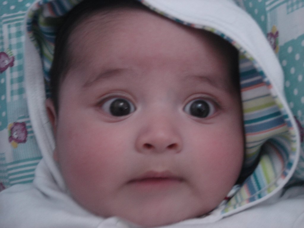 beb009.jpg