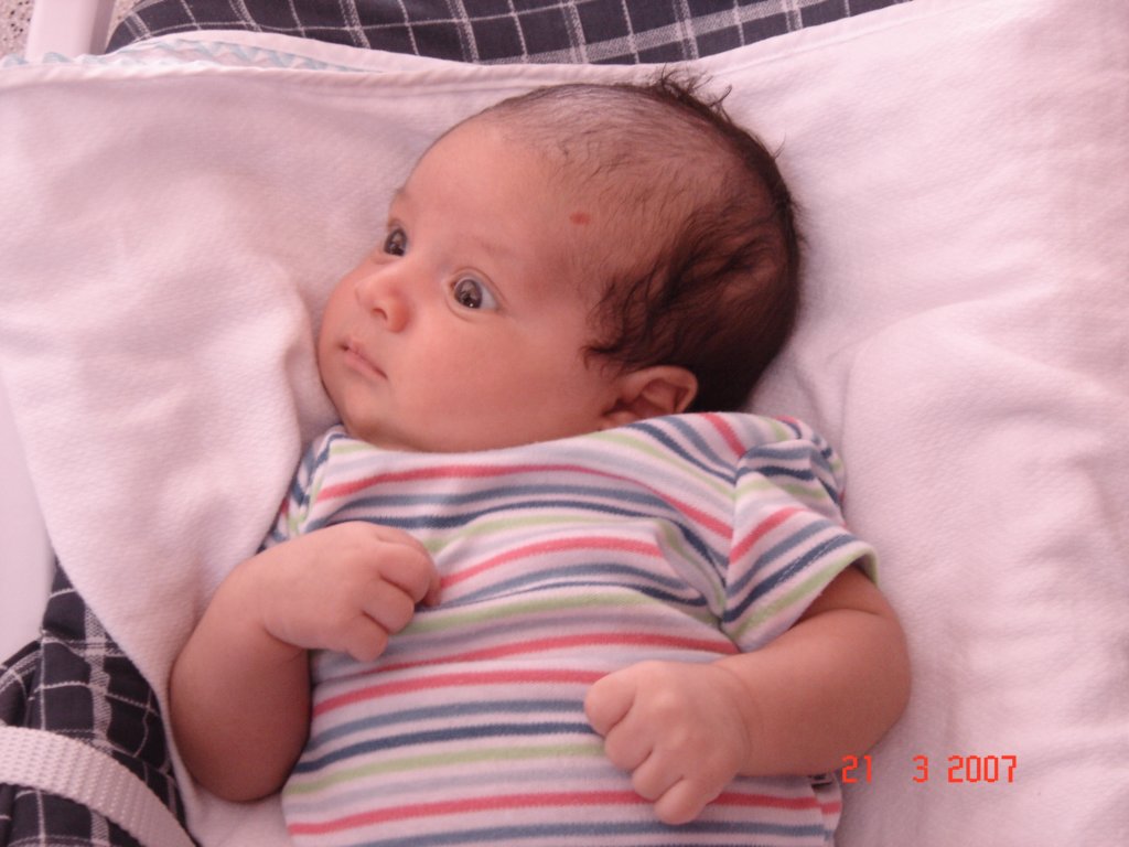 picture016.jpg